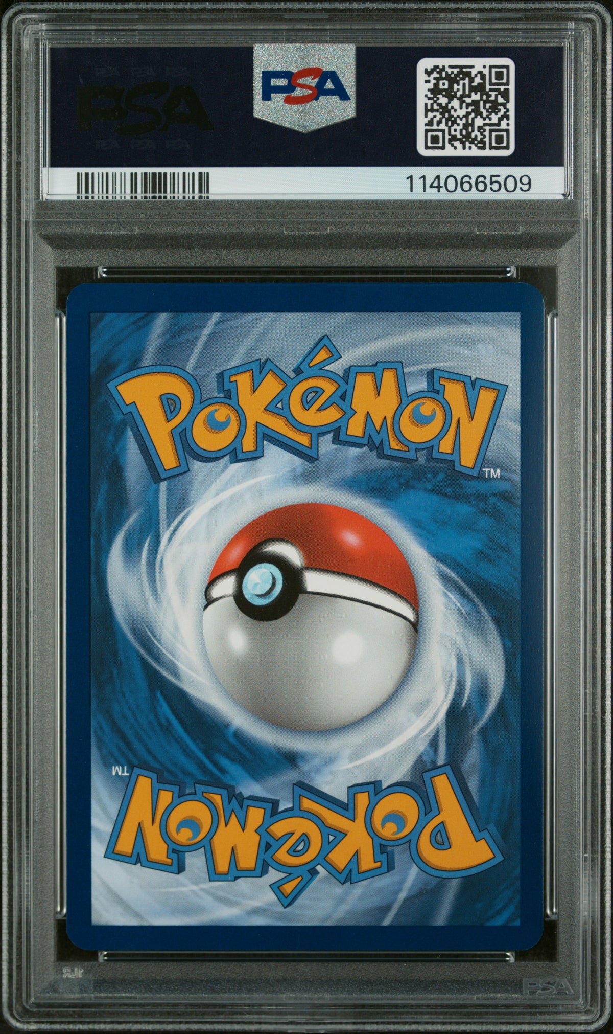 PSA 9 - Illustration Rare - Charmeleon #169