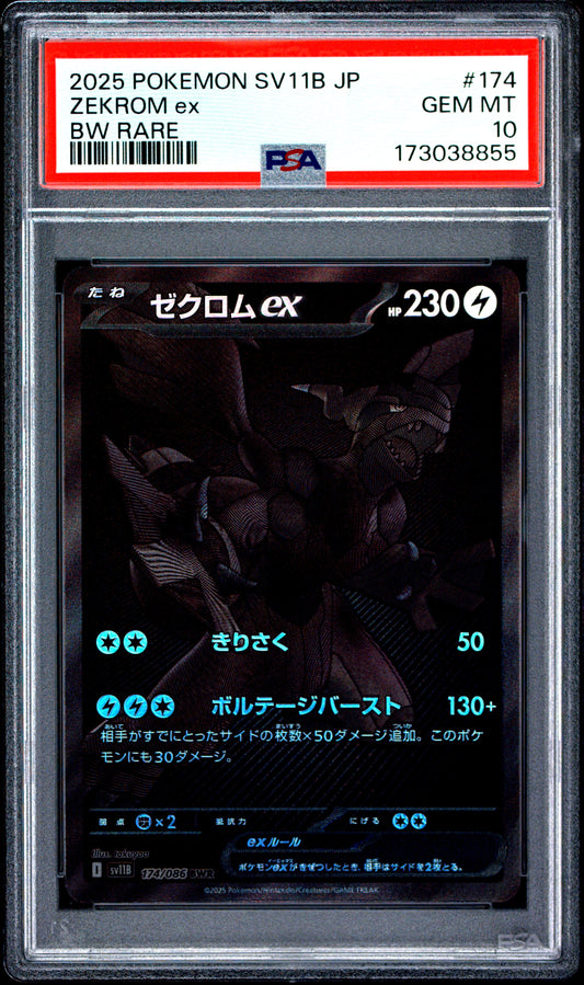 PSA 10 - BW rare - Zekrom ex #174