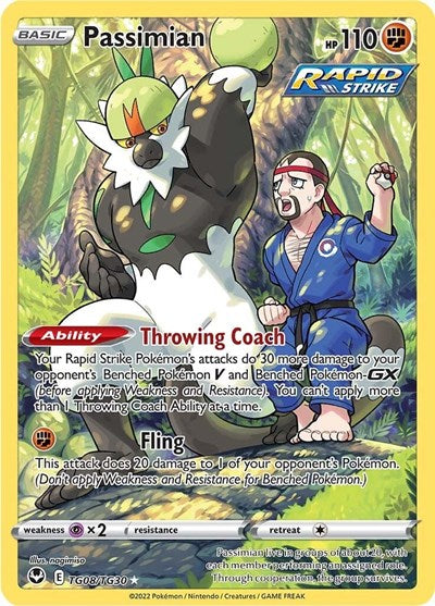 Passimian SWSH12: Silver Tempest Trainer Gallery (TG08/TG30) (Ultra Rare)