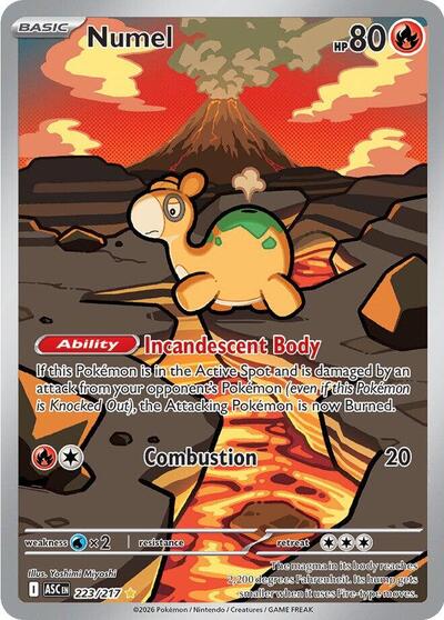 Numel ME: Ascended Heroes (223/217) (Illustration Rare)
