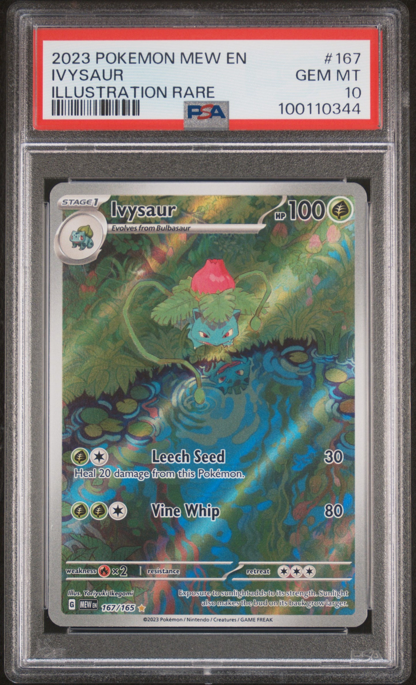 PSA 10 - Illustration Rare - Ivysaur #167