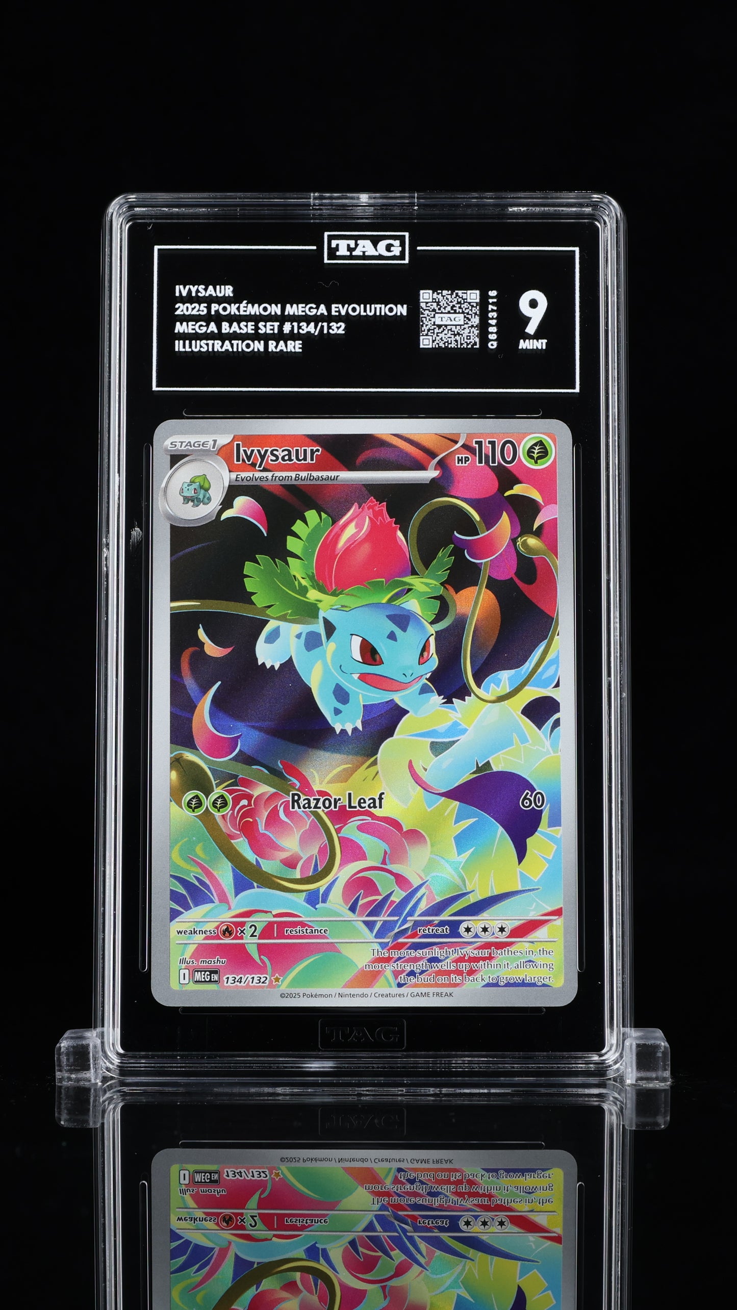 TAG 9 - Illustration Rare - Ivysaur #134
