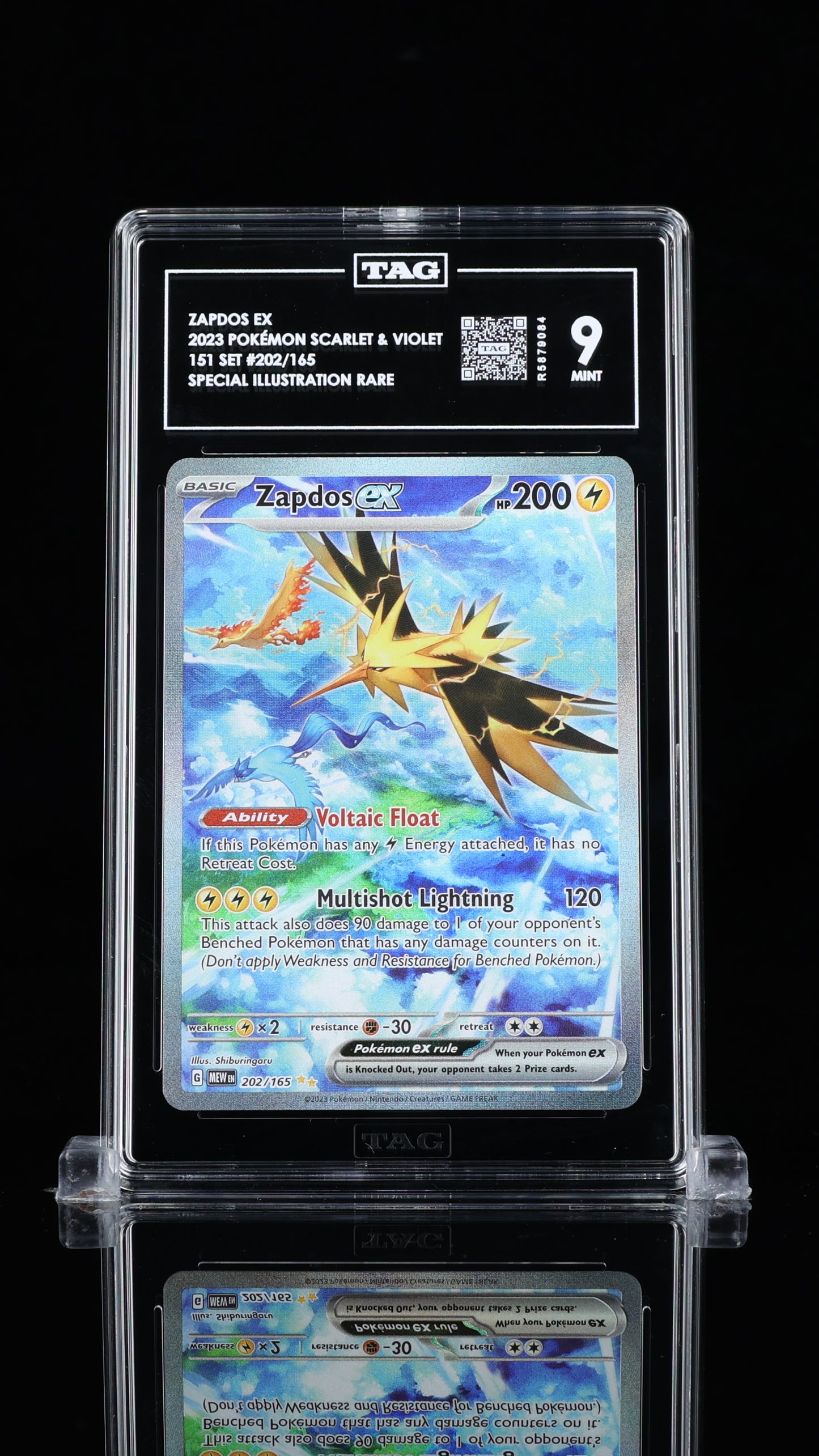 TAG 9 - Special Illustration Rare - Zapdos ex #202